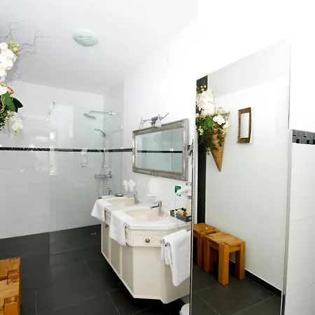 Boutique Friesinger Hotel 4*